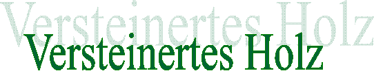 Versteinertes Holz