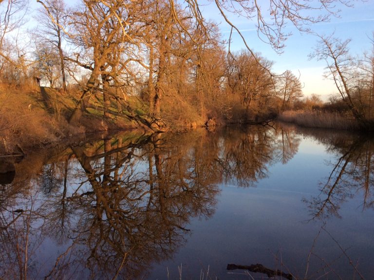 Europäische Tage des Kunsthandwerks – ABGESAGT – Urholz – Möbel aus